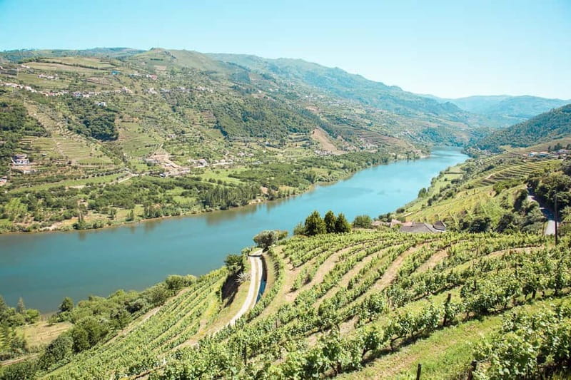 Douro Valley: Real Small-Group, Wine Tasting, Lunch & Boat - Key Things You’ll Notice on This Douro Day Trip