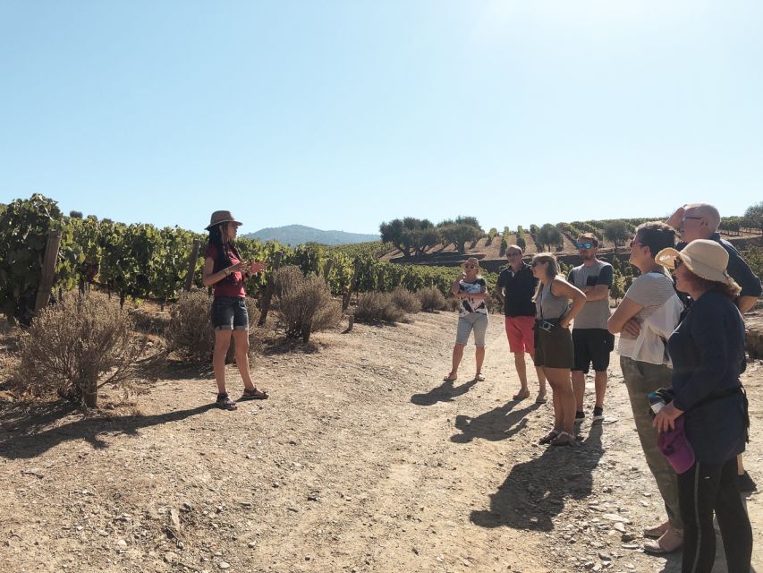 Douro Valley: Real Small-Group, Wine Tasting, Lunch & Boat - Stop 2: Small Table Wine Producer With Private-Style Tasting