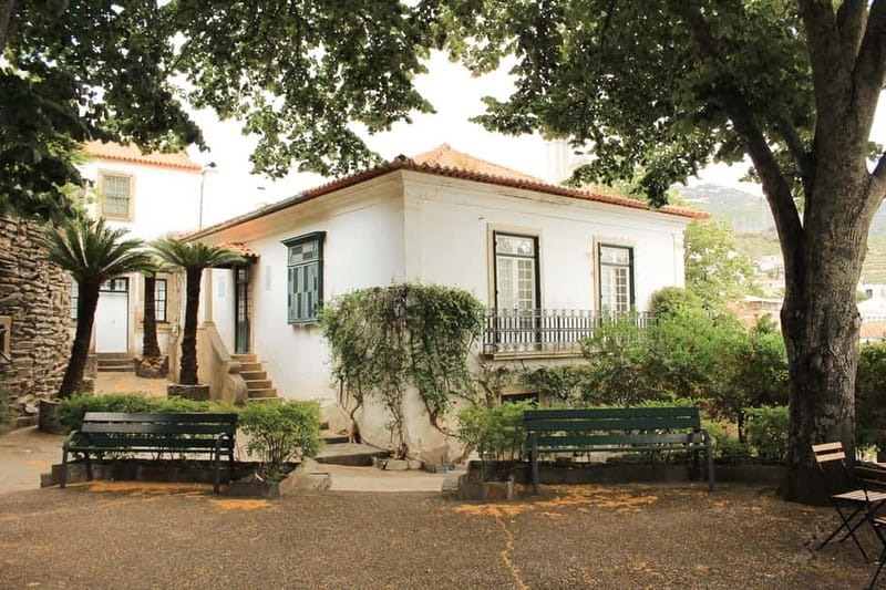 Douro Valley: Real Small-Group, Wine Tasting, Lunch & Boat - Price Check: Is $164 Good Value for a 9-Hour Day in the Douro?
