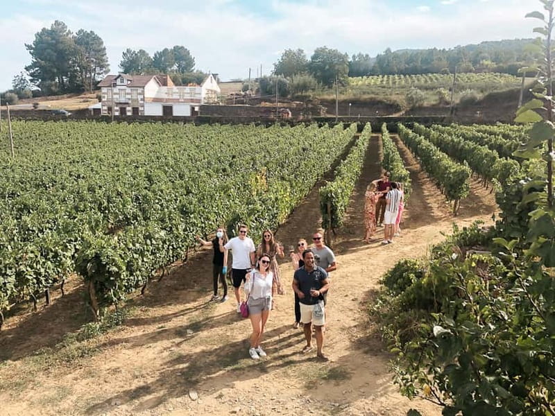 Douro Valley: Real Small-Group, Wine Tasting, Lunch & Boat - Getting From Porto to the Valley in an 8-Seat Minivan