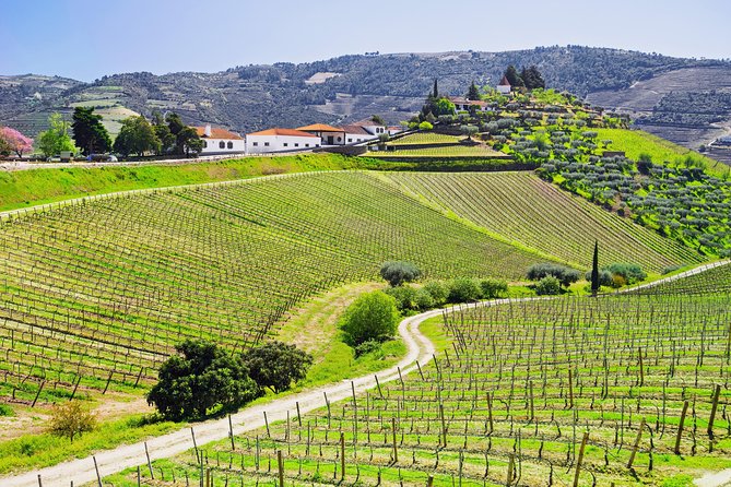 Douro Valley - Relaxed Departure from Porto - How this Douro day trip from Porto stays relaxed