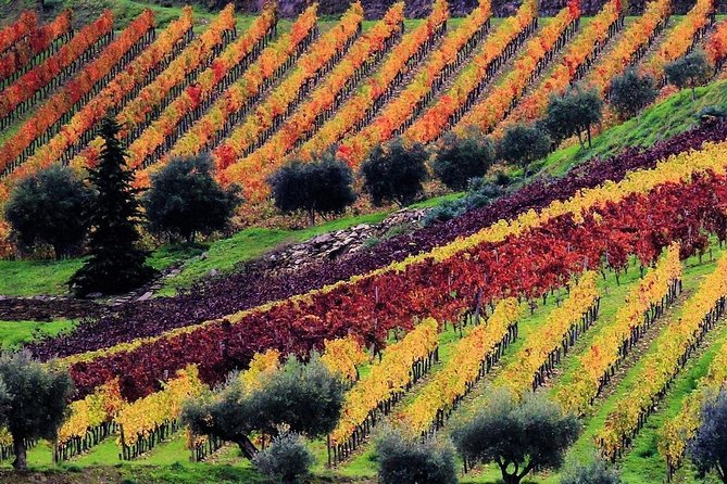 Douro Valley - Relaxed Departure from Porto - São Cristovão do Douro viewpoint: finish with one last wow