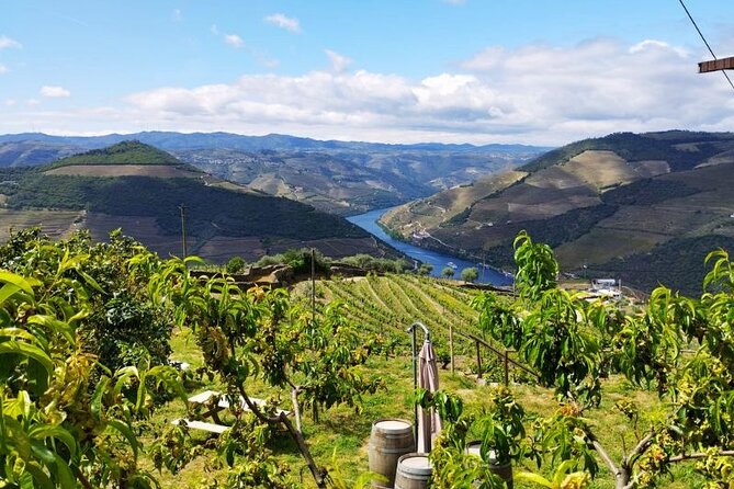 Douro Valley Small-Group Tour: 2 Wineries, Lunch, Optional Cruise - Second winery for Port: tastings plus extras like olive oil and honey