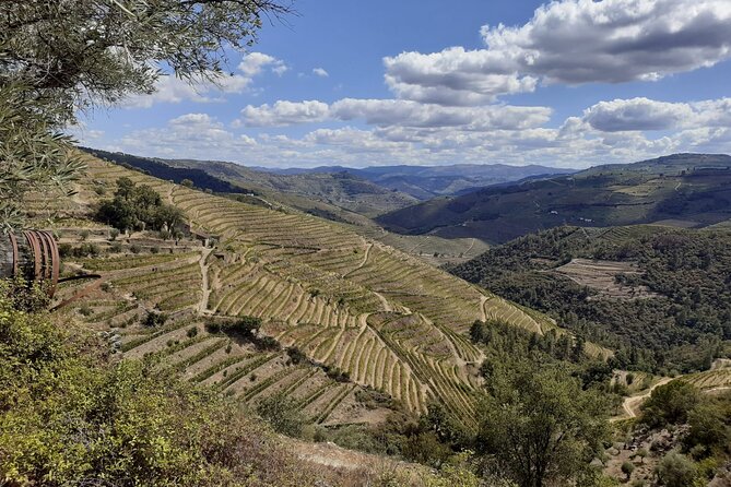 Douro Valley Small-Group Tour: 2 Wineries, Lunch, Optional Cruise - Guide-led small group, in English, with room for questions