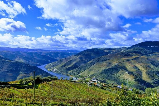 Douro Valley Small-Group Tour: 2 Wineries, Lunch, Optional Cruise - Price and value: what $187.05 buys you in a full Douro day