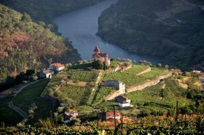 Douro Valley Small-Group Tour with Wine Tasting, Lunch and Boat - A 9 to 10 hour Douro day built around wine, boat views, and Pinhão