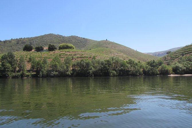 Douro Valley Tour: 2 Vineyard Visits, River Cruise, Winery Lunch - Driving the Douro: Beautiful Views, Motion-Sickness Reality