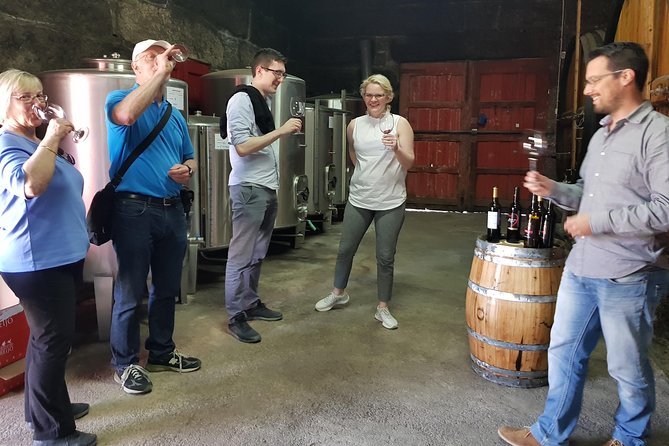Douro Valley Tour: 2 Vineyard Visits, River Cruise, Winery Lunch - Meeting Point and Timing: Your 8:30 Start Setup