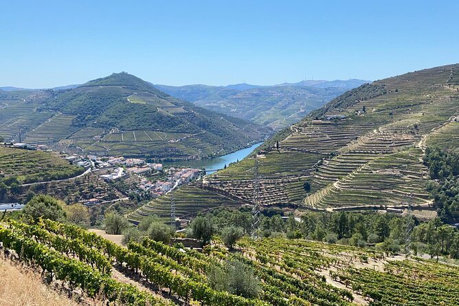 Douro Valley Tour - 3 Wine tastings, Lunch & river Cruise - Sabrosa Lunch at a Vintage Producer: Wine, Manor Views, and a Cellar Visit