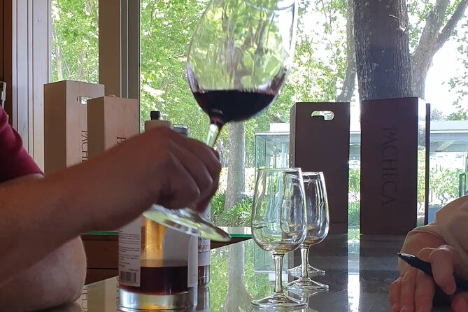 Douro Valley Tour Wine and breathtaking views - Key highlights you should care about