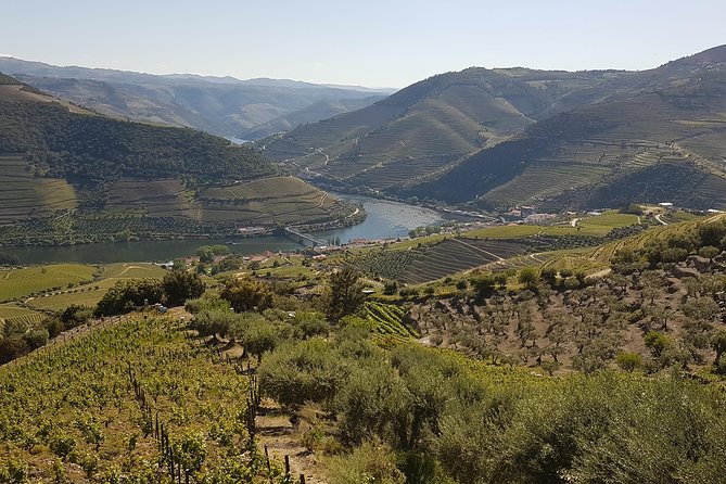 Douro Valley Tour Wine and breathtaking views - Porto pickup and the “private for your group” advantage