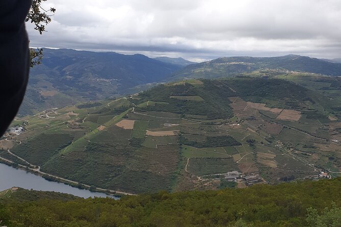 Douro Valley Tour Wine and breathtaking views - Quinta da Pacheca optional stop: wine focus or a quick taste