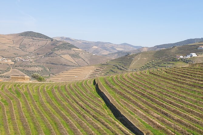 Douro Valley Tour Wine and breathtaking views - Casa de Mateus optional stop: palace time for non-wine lovers