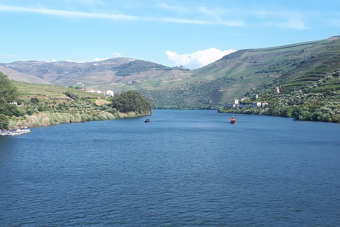 Douro Valley Tour (wine & Food) - Porto to Douro Valley, built for a smooth day