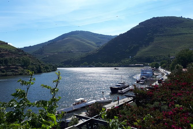 Douro Valley Tour (wine & Food) - Stop 1: Douro Valley views, small towns, wine tasting, and the river cruise