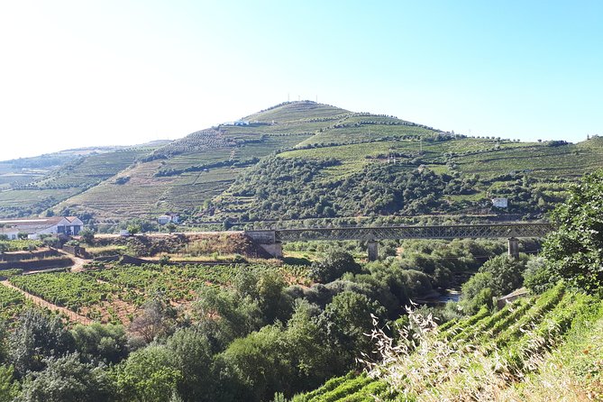 Douro Valley Tour (wine & Food) - Stop 2: Quinta do Seixo (Sandeman Port) and what to expect
