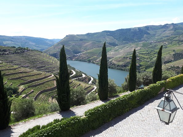Douro Valley Tour (wine & Food) - Stop 3: DOrigem olive oil press museum, with olive oil and wine tastings