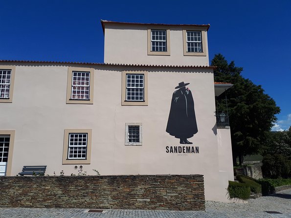 Douro Valley Tour (wine & Food) - Lunch, tastings, and how to pace the day without getting overwhelmed