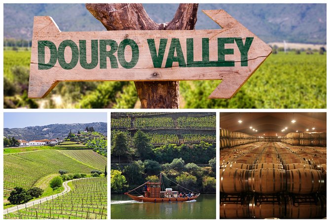 Douro Valley Tour: Wine Tasting, Cruise and Lunch from Porto - Key Highlights You Will Feel Fast