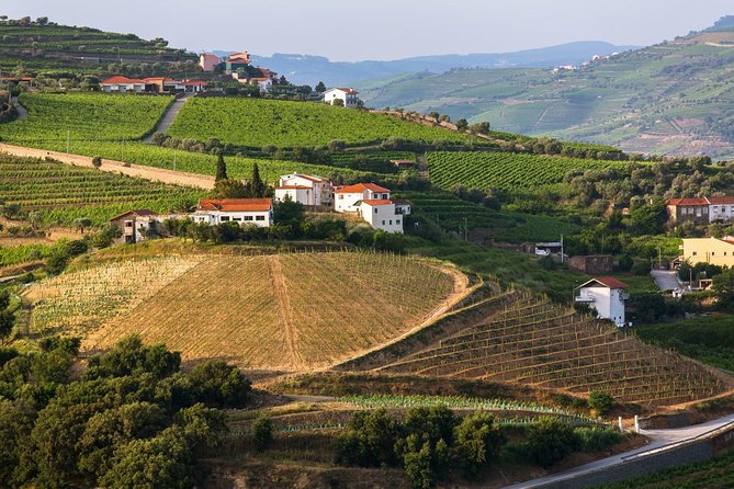 Douro Valley Tour: Wine Tasting, Cruise and Lunch from Porto - Lunch in the Middle of the Hills: Choice Food Beats Rushed Meals