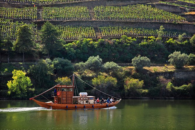 Douro Valley Tour: Wine Tasting, Cruise and Lunch from Porto - The Douro River Cruise: 1 Hour of Views, Plus the Weather Reality