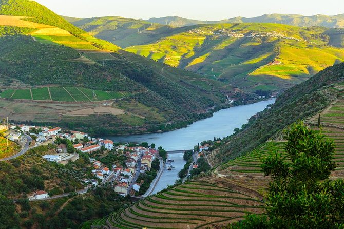 Douro Valley Tour: Wine Tasting, Cruise and Lunch from Porto - Transportation, Group Size, and How to Plan Your Seat
