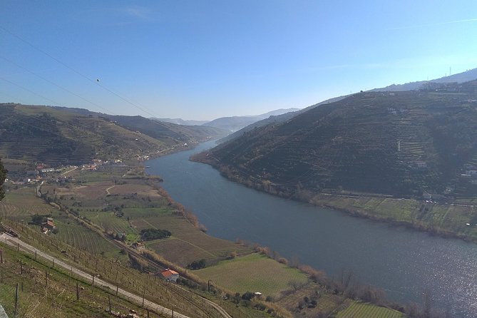 Douro Valley Tour: Wine Tasting River Cruise and Lunch from Porto - Barco Rebelo Cruise: 55 Minutes on the Douro River