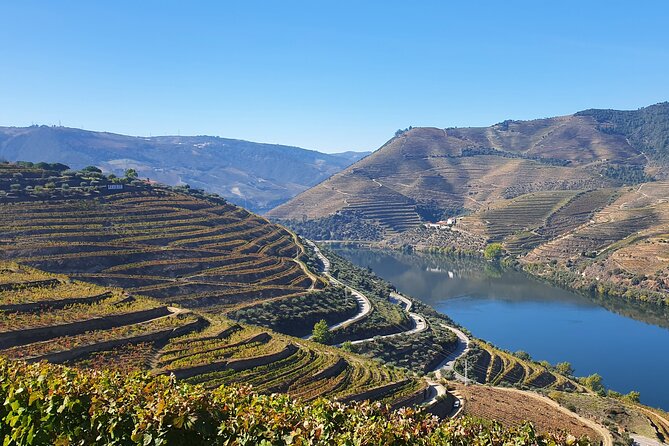 Douro Valley Tour: Wine Tasting River Cruise and Lunch from Porto - Wine Farm Tasting and Lunch: What You Actually Eat and Taste
