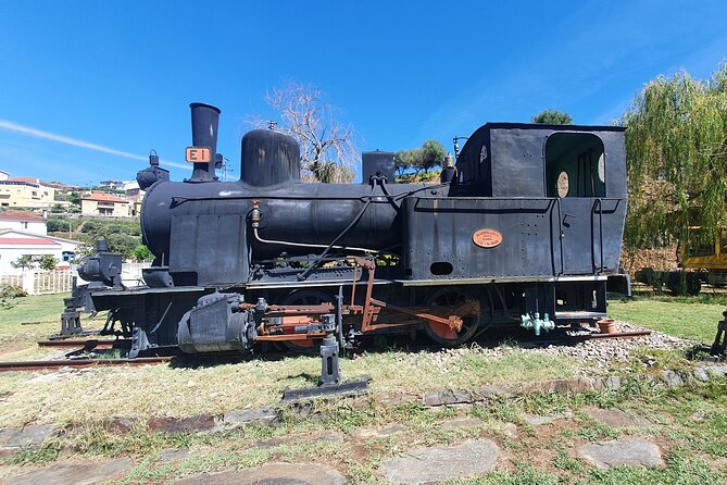 Douro Valley Tour with Train and Vinho Verde - Key points before you go