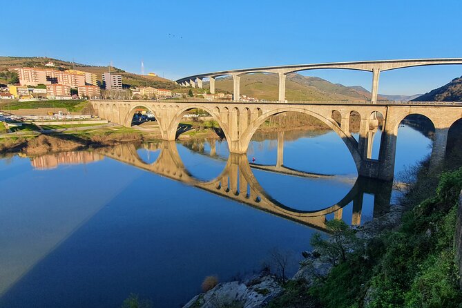 Douro Valley Tour with Train and Vinho Verde - Why this Douro day mixes train, boat, and wine tastings