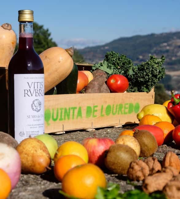 Douro Valley: Traditional Cooking Class, Farm Tour & Lunch - The Farm Tour That Actually Teaches You How Farming Works