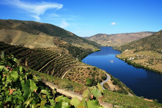 Douro Valley Wine Tour: 3 Vineyard Visits, Wine Tastings, Lunch - Price and What You Actually Get for $133