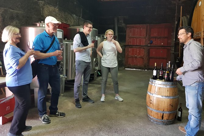 Douro Valley Wine Tour: 3 Vineyard Visits, Wine Tastings, Lunch - Wine Tasting Style: DOC, Port, and What to Expect in Real Life