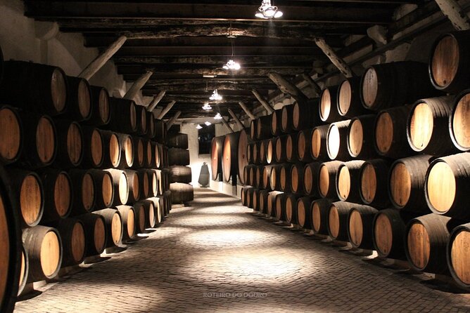 Douro Valley Wine Tour Private Group, 1h Cruise, Lunch from Porto - Pinhão Port wine tasting: where the Douro story turns into flavor