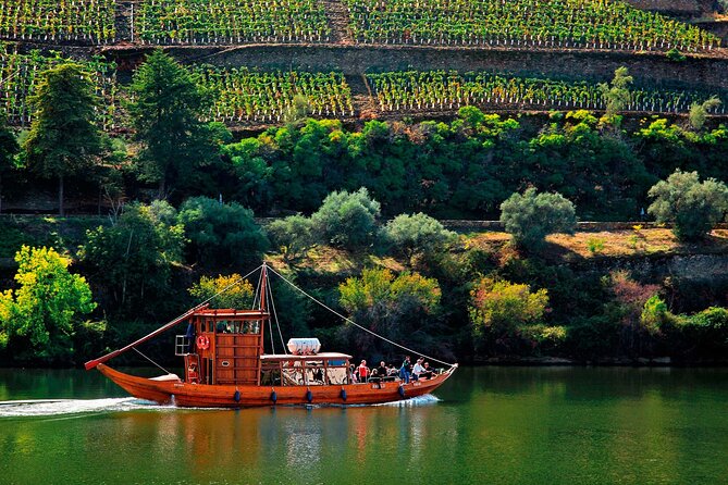 Douro Valley Wine Tour Private Group, 1h Cruise, Lunch from Porto - Pinhão Douro cruise: 50 minutes of terraces and river life