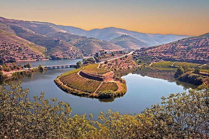 Douro Valley Wine Tour Private Group, 1h Cruise, Lunch from Porto - Peso da Régua lunch and the family-run winery tasting