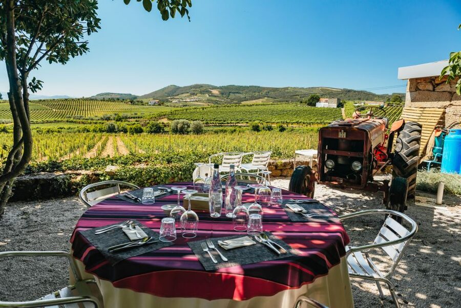 Douro Valley: Wine Tour with Lunch, Tastings & River Cruise - Afternoon Wine Estate: A Second Style, Often More Formal