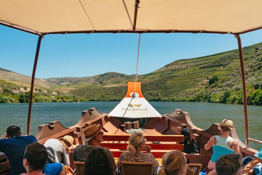 Douro Valley: Wine Tour with Lunch, Tastings & River Cruise - Lunch on the Vineyard: When the Pairing Actually Works