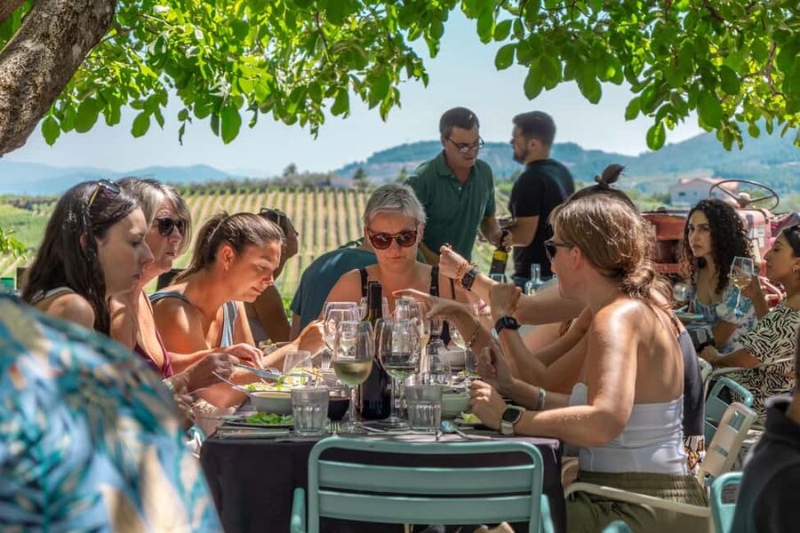 Douro Valley: Wine Tour with Lunch, Tastings & River Cruise - São Cristovão Viewpoint to Pinhão: The Camera Moment Portion