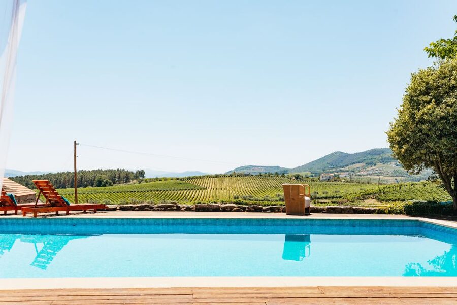 Douro Valley: Wine Tour with Lunch, Tastings & River Cruise - Pinhão River Cruise: A Calm 1-Hour Reset