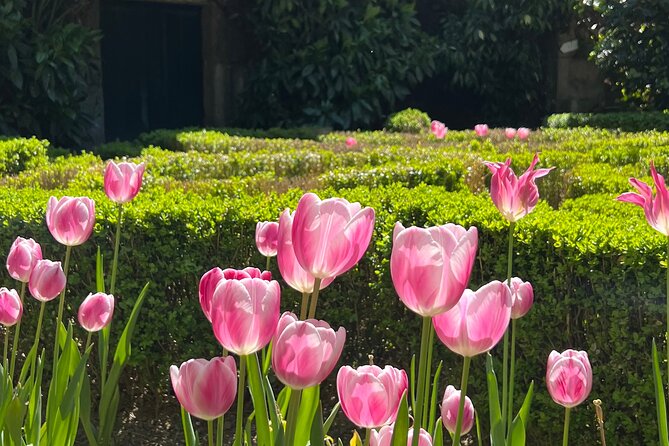 Douro Valley Wine Tour with Tastings, Boat Ride & Lunch - Quinta da Roeda and Croft: tour plus premium port tasting