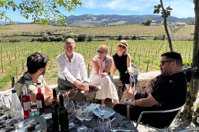Douro Valley Wine Tour with Tastings, Boat Ride & Lunch - Cellar visit after lunch: tasting older ports with context