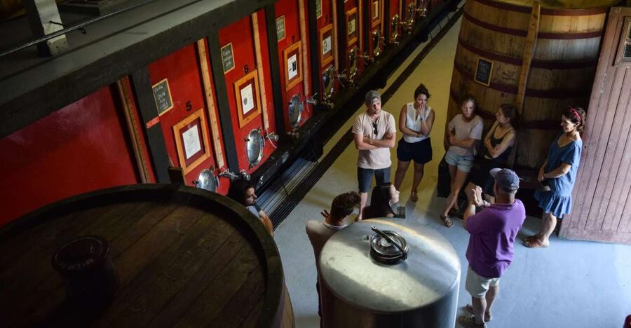 Douro Valley: Winery Tour at Quinta do Tedo and Tastings - Key things to know before you go