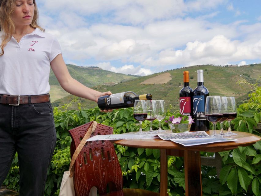 Douro Valley: Winery Tour at Quinta do Tedo and Tastings - The organic, class A vineyard angle, translated into plain value
