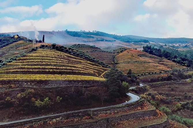 Douro Valley with Two Winery, Boat Trip and Lunch From Porto - Key Things You’ll Notice on This Douro Day