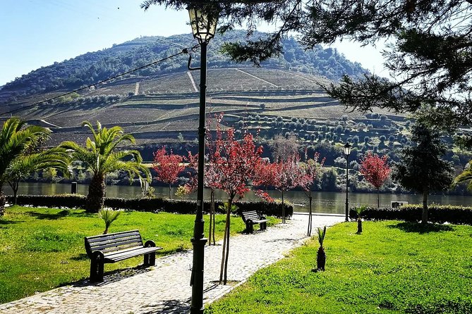 Douro Valley with Two Winery, Boat Trip and Lunch From Porto - Panoramic Vista Breaks Before You Reach the Wineries