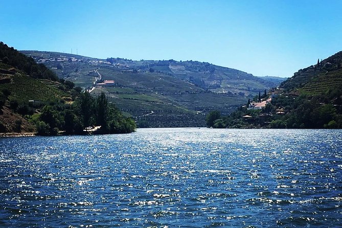 Douro Valley with Two Winery, Boat Trip and Lunch From Porto - Tabuaco Lunch: The Portuguese Meal That Actually Fills You Up