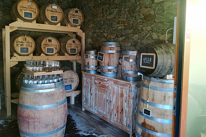 Douro Valley with Two Winery, Boat Trip and Lunch From Porto - Pinhão River Cruise: Views from the Water, plus a reality check