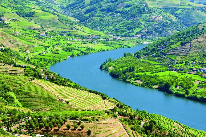 Douro Valley with Two Winery, Boat Trip and Lunch From Porto - Meeting Point and the Morning Rhythm (8:30 start, pickup window)