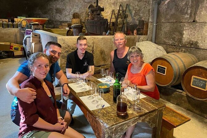Douro & Vinho Verde: Family Wineries Private Tour in Portugal - Getting Picked Up: Peso da Régua, Mesão Frio, Resende, and Train Connections from Porto